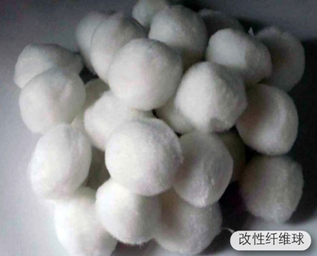 �����w�S��